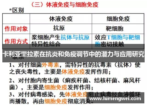 卡利亚里拉素在抗炎和免疫调节中的潜力与应用研究